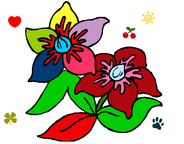Dibujo Flores 3 pintado por divs
