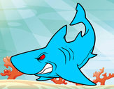 Dibujo Tiburón enfadado pintado por megagojuan