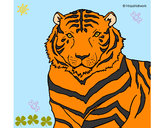 Dibujo Tigre 3 pintado por eric99