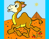 Dibujo Camello 1 pintado por tuky