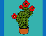 Dibujo Flores de cactus pintado por Aliciam   