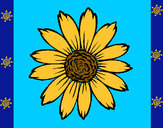 Dibujo Girasol pintado por sasamari