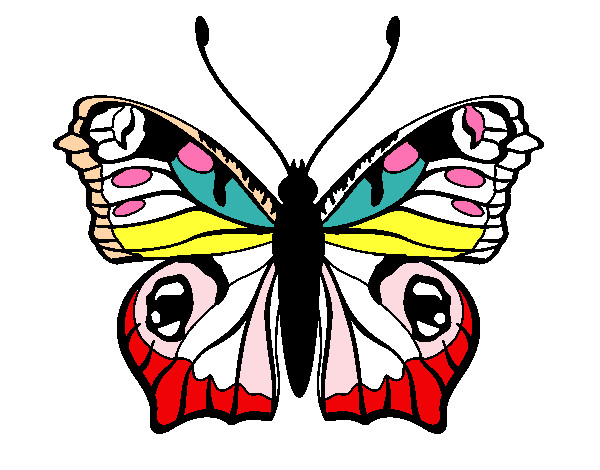 mariposa