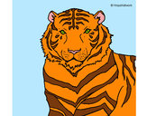 Dibujo Tigre 3 pintado por tanxita