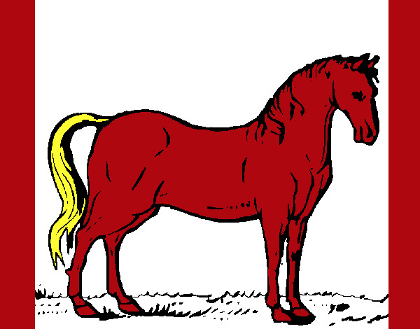 caballo ondulado