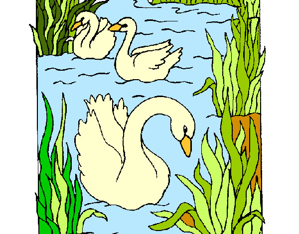 Dibujo Cisnes pintado por yesabel