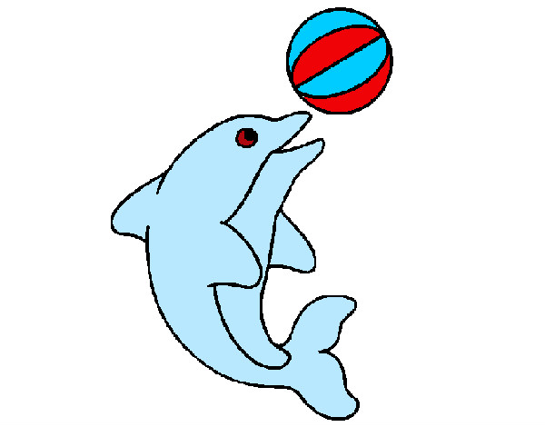 delfin jugando con una pelota