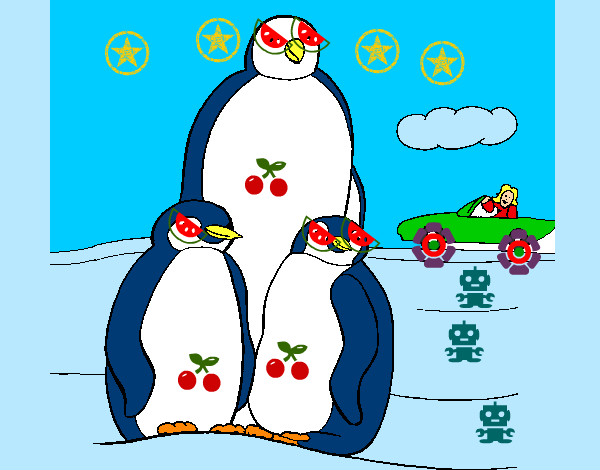 CLUB PINGUIN