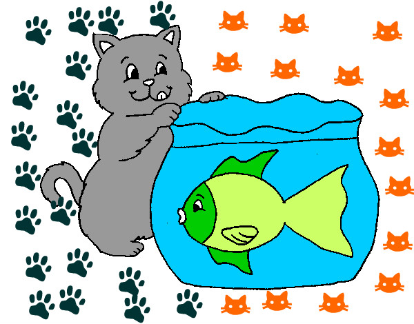 el  gato  y   el   pez