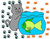 Dibujo Gato y pez pintado por annubis