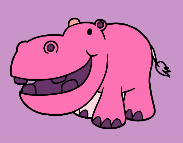 hipopotamo