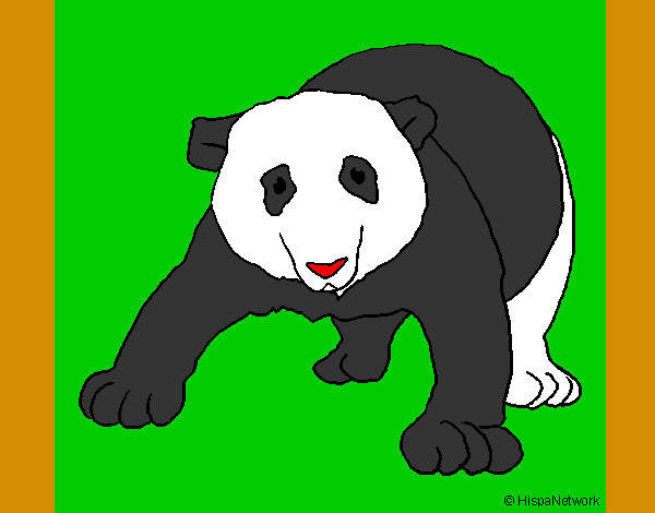 Oso panda 1