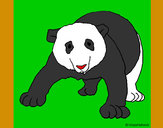 Dibujo Oso panda 1 pintado por pingo