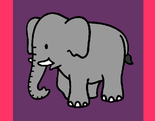 elefantito