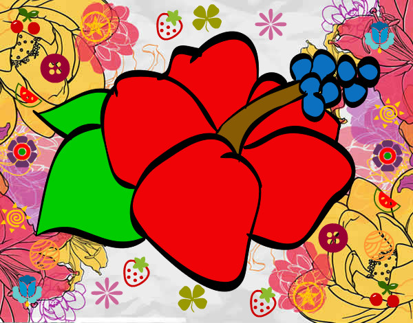 Dibujo Flor de lagunaria pintado por AMALITA1