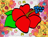 Dibujo Flor de lagunaria pintado por AMALITA1