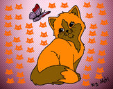 201242/gatito-y-mariposa-dibujos-de-los-usuarios-pintado-por-evarivas-9775874_163.jpg