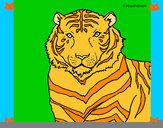 Dibujo Tigre 3 pintado por elwenisimo
