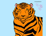 Dibujo Tigre 3 pintado por luciana9