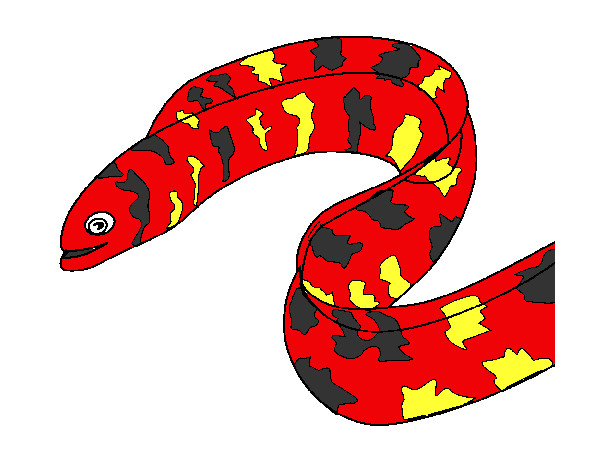 Dibujo Anguila pintado por p1a2
