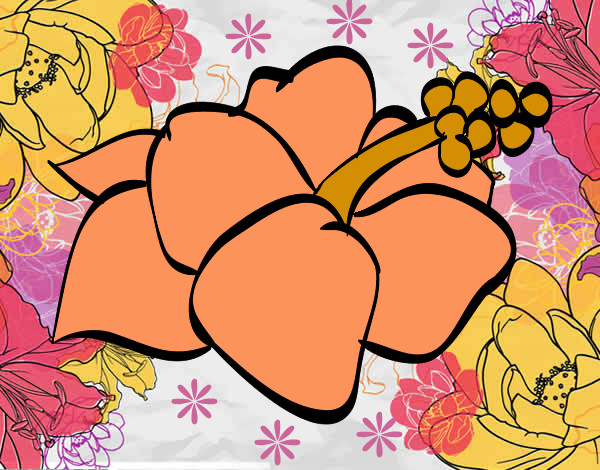 Dibujo Flor de lagunaria pintado por maria-live