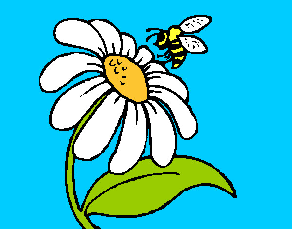 Dibujo Margarita con abeja pintado por AnnieMCH