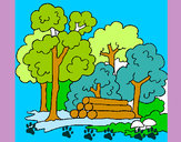 Dibujo Bosque 2 pintado por rotzana
