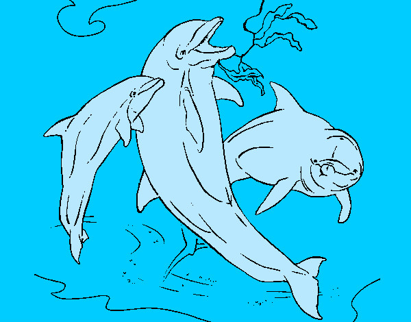 Dibujo Delfines jugando pintado por franpeo