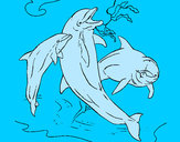Dibujo Delfines jugando pintado por franpeo