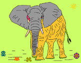 Dibujo Elefante 1 pintado por solsticio