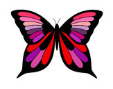 201244/mariposa-19-animales-bosque-pintado-por-milucha-9778772_163.jpg