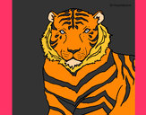 Dibujo Tigre 3 pintado por nikoleta