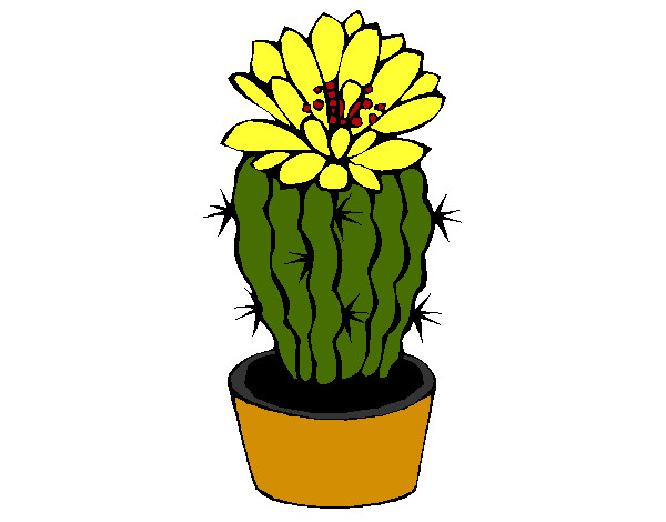 Dibujo Cactus con flor pintado por marilin
