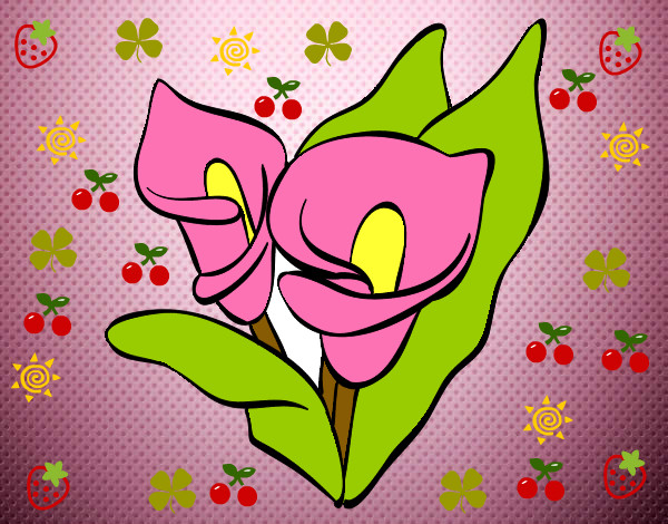 flor de lirio