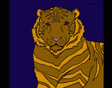 Dibujo Tigre 3 pintado por cristinaul