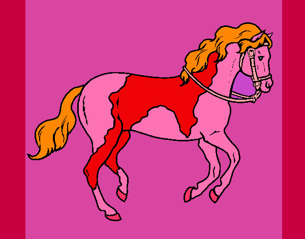 el caballo multi color