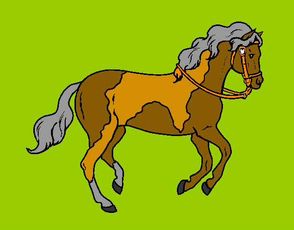 el caballo