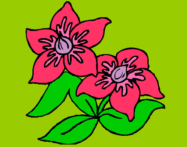 Dibujo Flores 3 pintado por luciana9