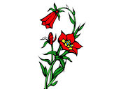 Dibujo Flores silvestres pintado por rosariooo