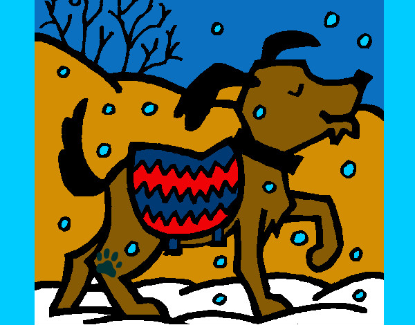 el perro en invierno