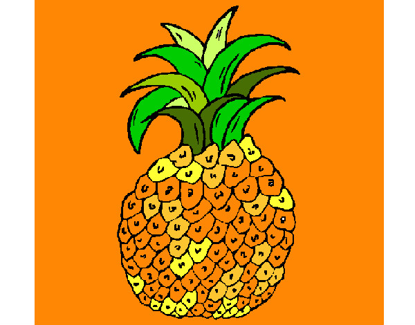 PIÑA