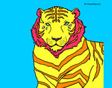 Dibujo Tigre 3 pintado por miguel5356