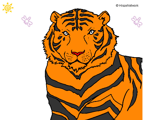 el tigre mas salvage