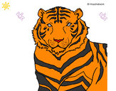 Dibujo Tigre 3 pintado por saris247