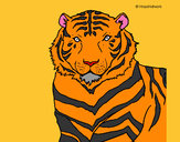 Dibujo Tigre 3 pintado por suareztq