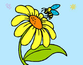 Dibujo Margarita con abeja pintado por giuflo
