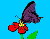 Dibujo Mariposa en una flor pintado por laila5433