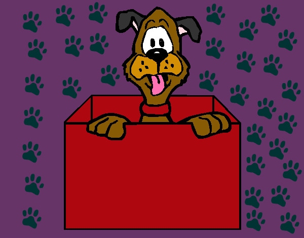 Dibujo Perro dentro de caja pintado por saske 