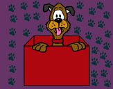 Dibujo Perro dentro de caja pintado por saske 