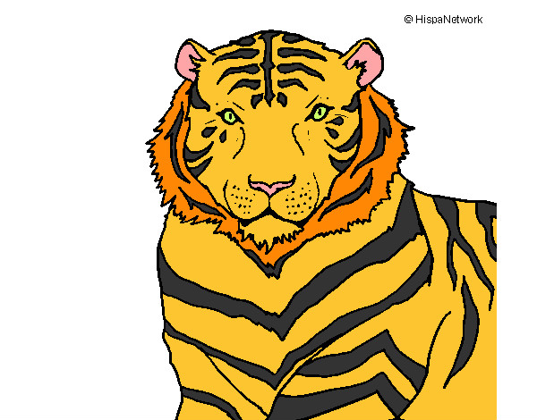 el tigre del fenix